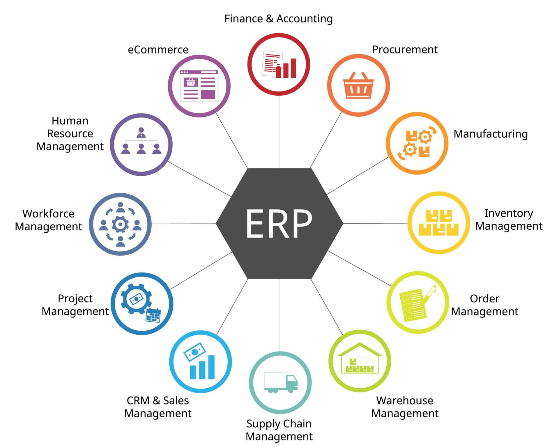 Custom Software Integrations